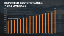 nyc daily case average