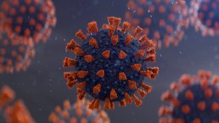 Coronavirus (COVID-19).