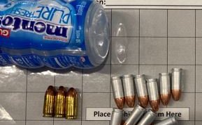 TLMD-LGA bullets in Mentos 1-14-21 B