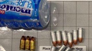 TLMD-LGA bullets in Mentos 1-14-21 B