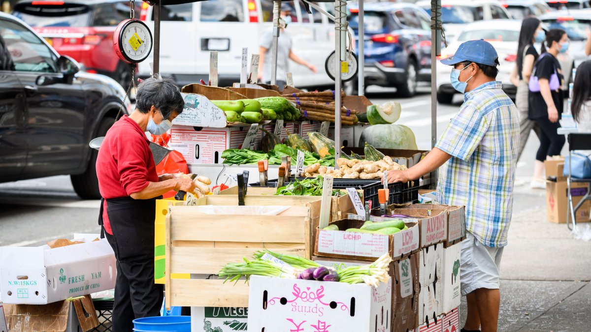 Concejo de NYC vota a favor de reformar el sistema de vendedores