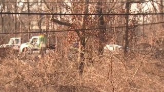 route 50 crash scene through trees