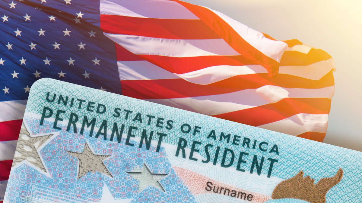Cómo reemplazar una green card robada, dañada o extraviada? – Telemundo New  York (47)