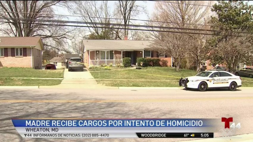 Madre recibe cargos por intento de homicidio en Montgomery