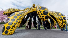 Art display at NY Botanical Gardens