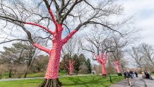 Art display at NY Botanical Gardens