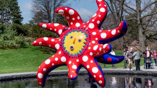 Art display at NY Botanical Gardens