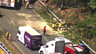A tree fell on the Capital Beltway on Friday, April 30, 2021.