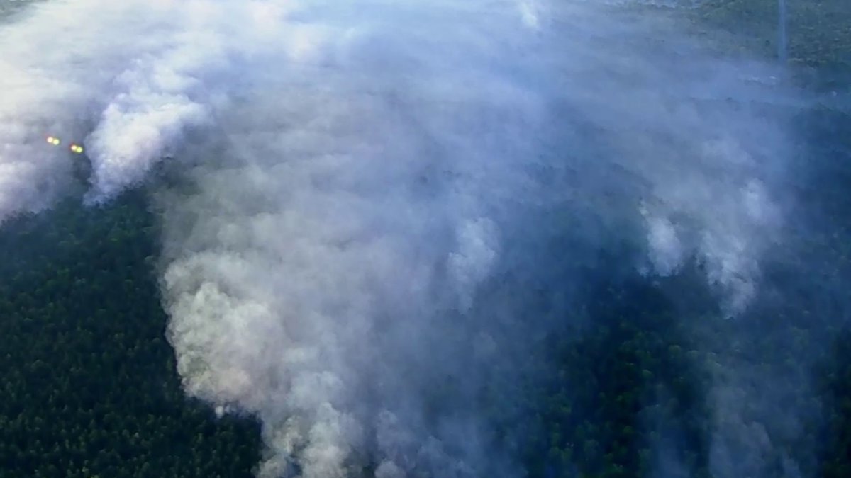 Candente incendio forestal quema más de 600 acres cerca de la costa de