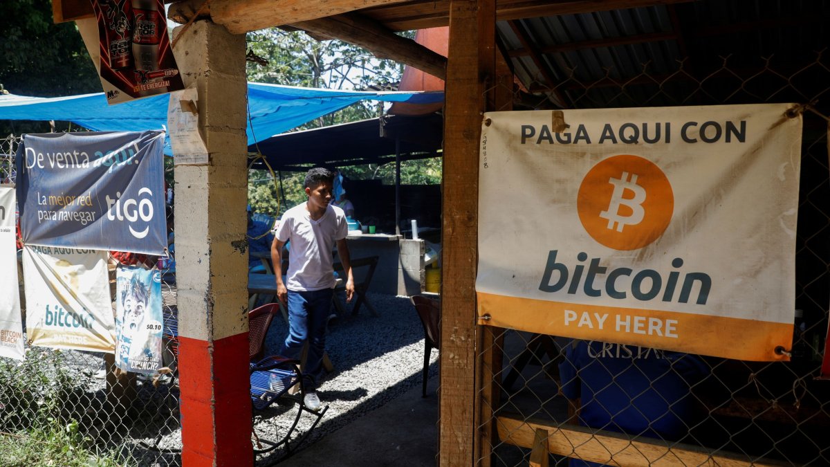 Bitcoin en El Salvador: cómo va el plan de Bukele seis meses después –  Telemundo Washington DC (44)