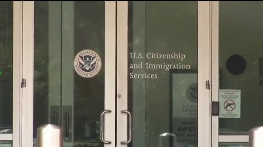 Gobierno planea medidas que faciliten la inmigración legal a EEUU, según el New York Times