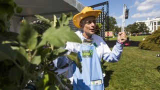 Stephen Ritz, founder of Green Bronx Machine, aims to promote health in the Bronx community.