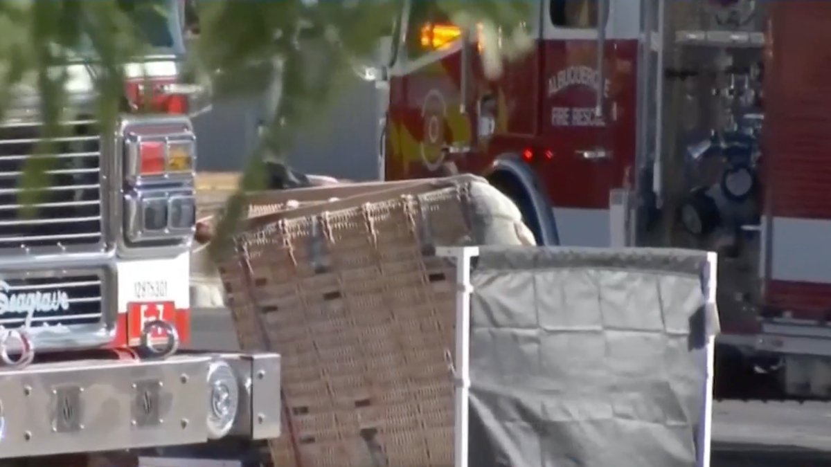 Mueren en globo aeroestático en Alburquerque – Telemundo New York (47) - Vimarsana News