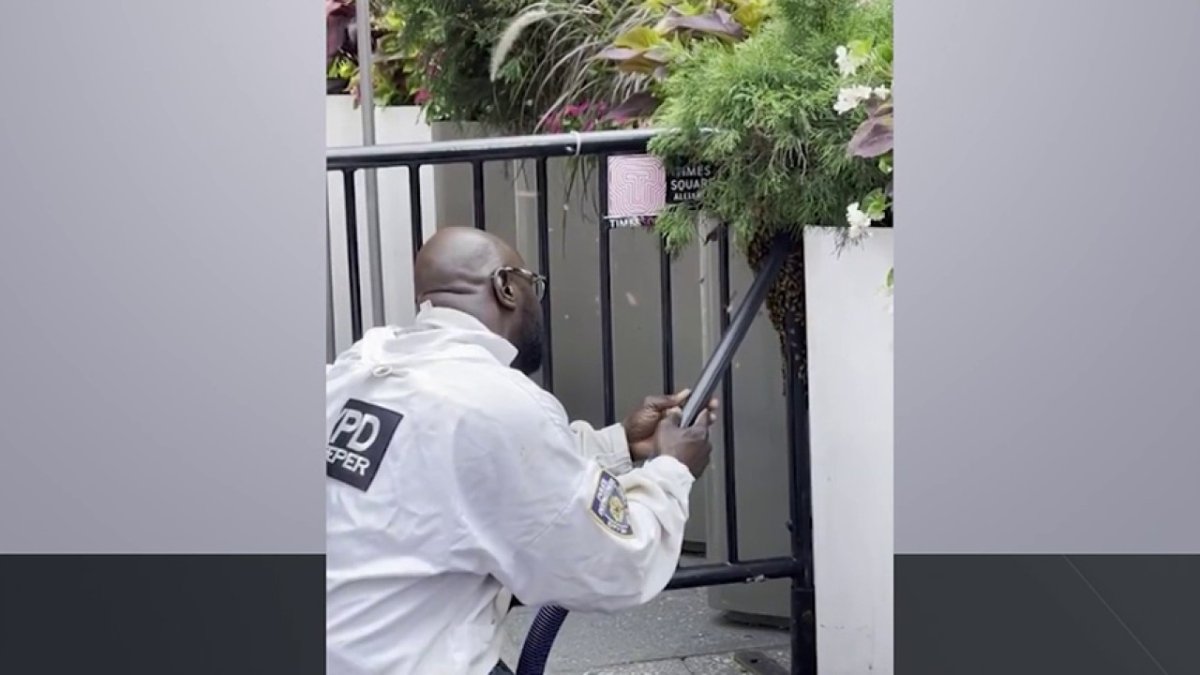 NYPD official removes 25,000 bees from Times Square – Telemundo New York (47)