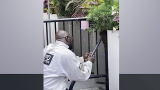 NYPD officer removing bees