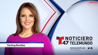 T47-Talent-Online-Darling-2021