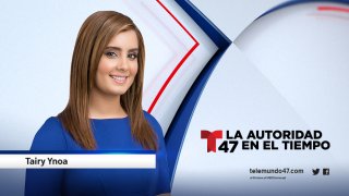 T47-Talent-Online-Tairy-2021