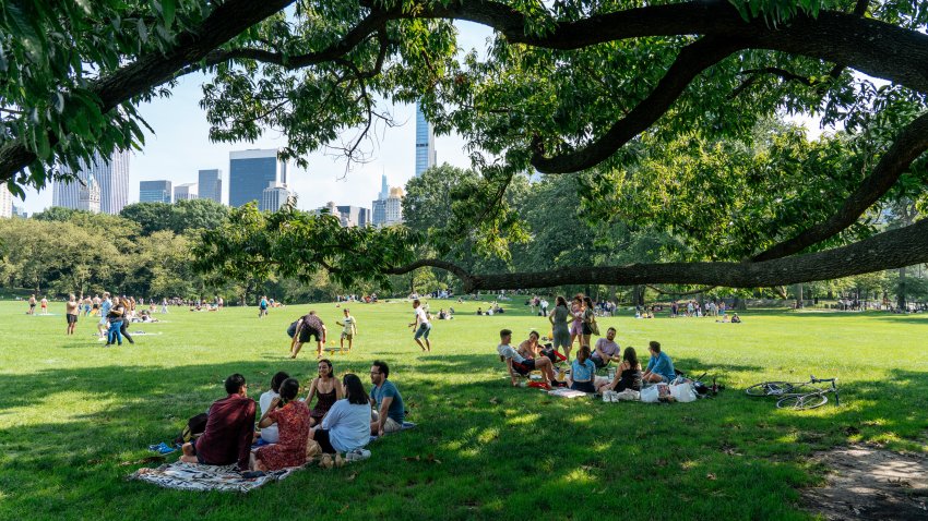 New York's Golden Summer