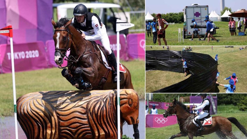 Polémica en las olimpíadas: sacrificaron un caballo
