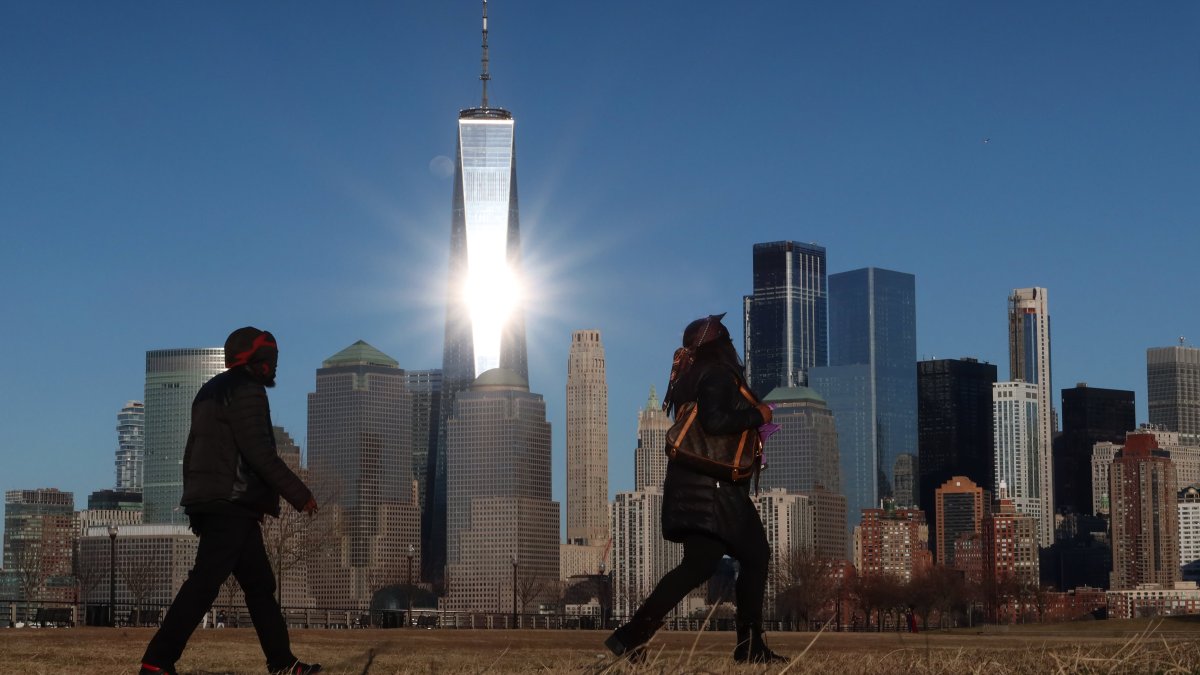 Hundreds of songbirds die when they crash into New York skyscrapers – Telemundo New York (47)