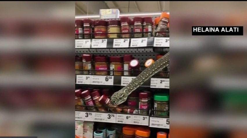 Serpiente sale de un estante y sorprende a compradora de un supermercado