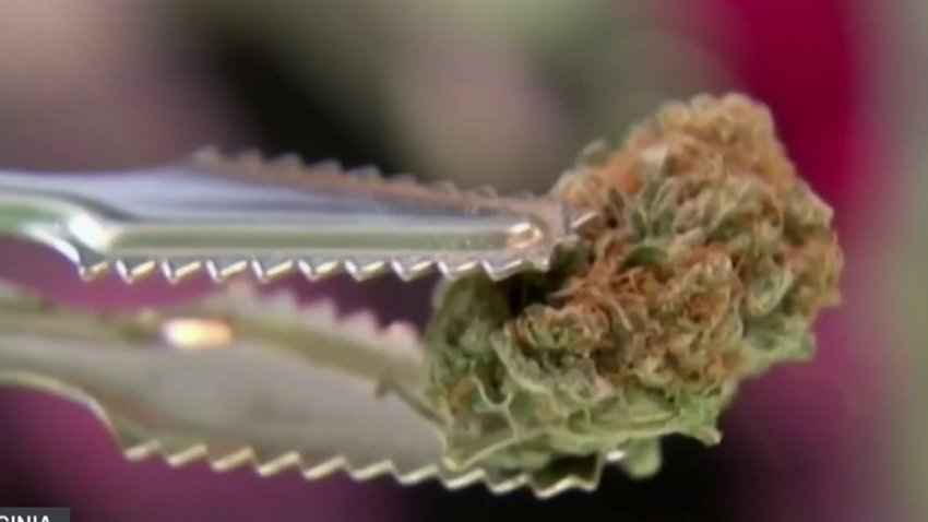 La marihuana es legal en Virginia pero ¿puede su posesión afectar tu proceso migratorio?