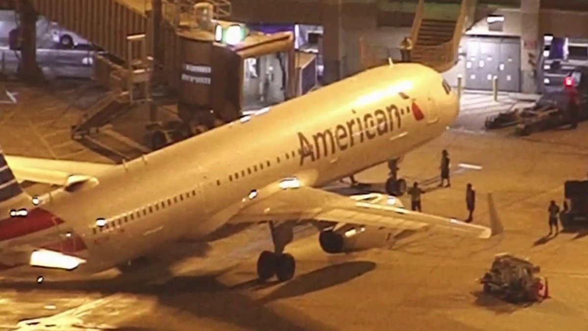 American Airlines plane that left NY makes emergency landing after bloody attack on flight attendant