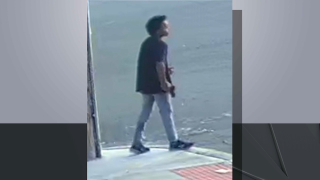 A video image appears to show a teenaged individual carrying a gun in the Bronx.