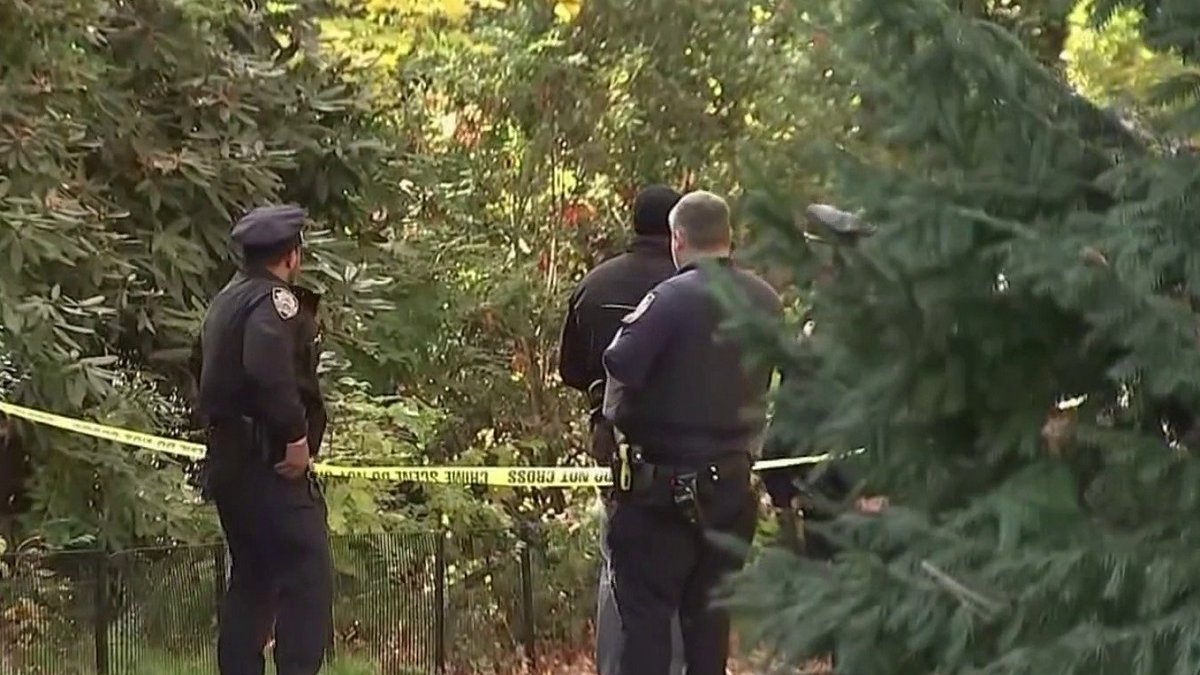 woman is sexually assaulted by man in Central Park – Telemundo New York (47)