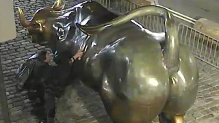 charging bull criminal mischief