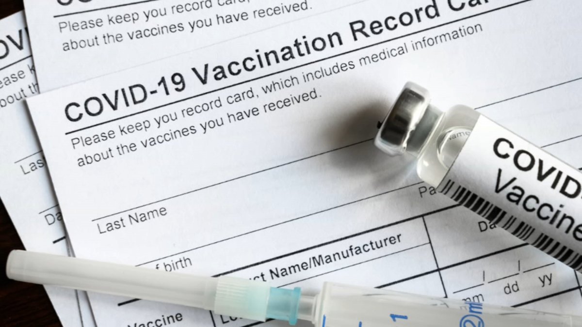 New law punishes production and use of false vaccination cards in NY – Telemundo New York (47)