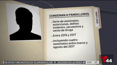 Condenan a pandilleros por crímenes cometidos entre el 2015 y 2017