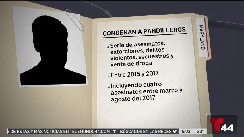 Condenan a pandilleros por crímenes cometidos entre el 2015 y 2017