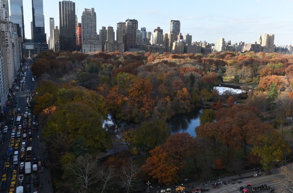 Up to 10 Fires Reported in Central Park in Apparent Act of Arson – NBC New York (47)