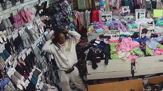 A shoplifter stands in a Bronx store following a fight caught on camera with one of its workers, according to police.