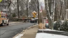 Árbol cae sobre un automóvil en Nueva Jersey durante la tormenta del sábado