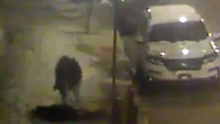 queens attack homicide