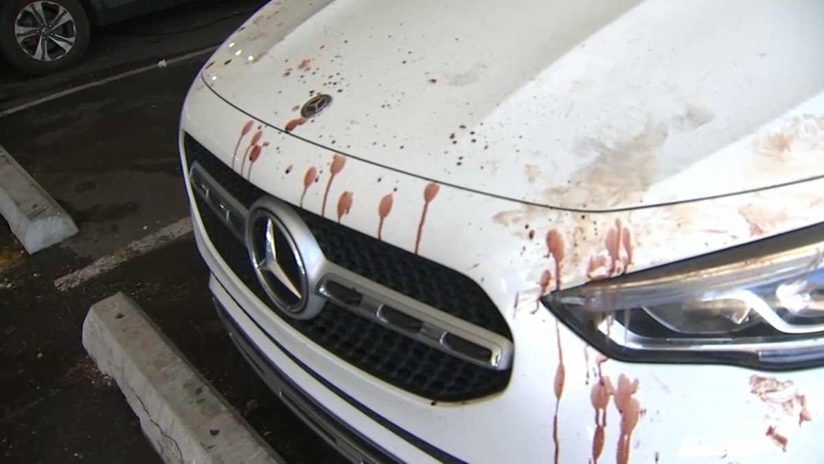 Mysterious Blood Splatter in North Arlington, NJ Parking Lot – NBC New York