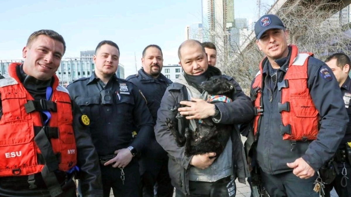 Officers Rescue Dog That Swam 200 Yards in Frigid East River – NBC New York