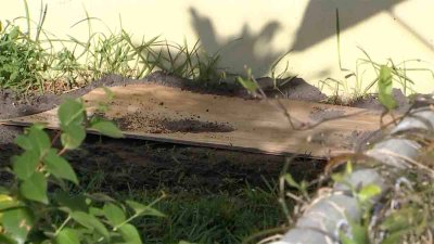 “Lo enterró en su patio”: la acusan de estrangular a su pareja con la que vivió 14 años