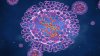 Departamento de Salud: Residente de NYC da positivo por virus de viruela del mono; esperan confirmación de los CDC