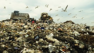 fresh kills landfill