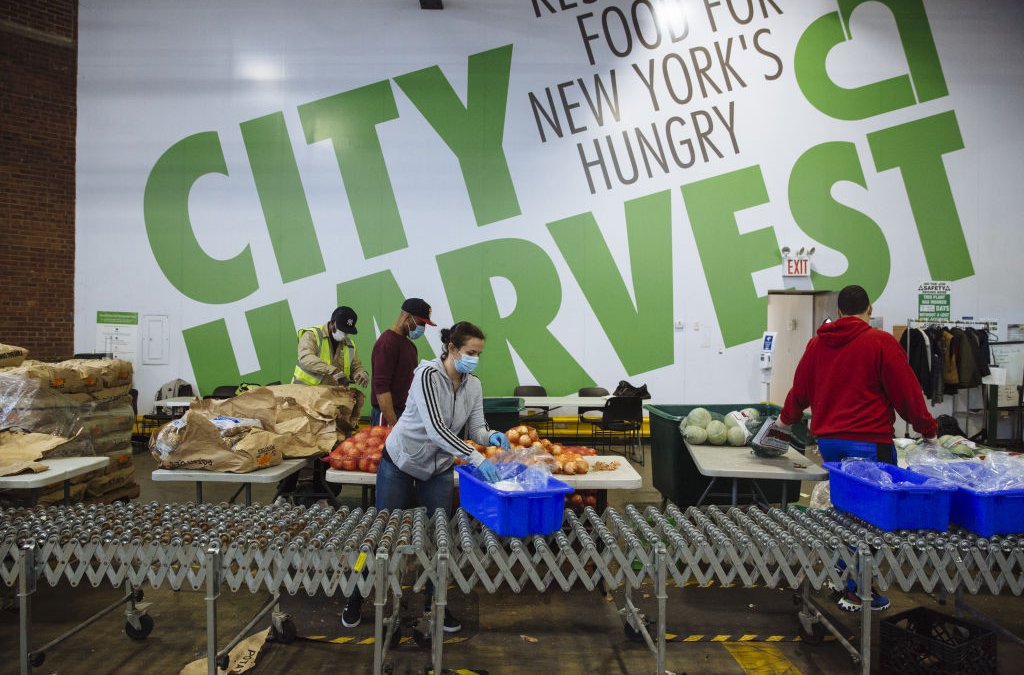 Camp City Harvest Kicks Off Tonight at Pier 61 in NYC – NBC New York (47)