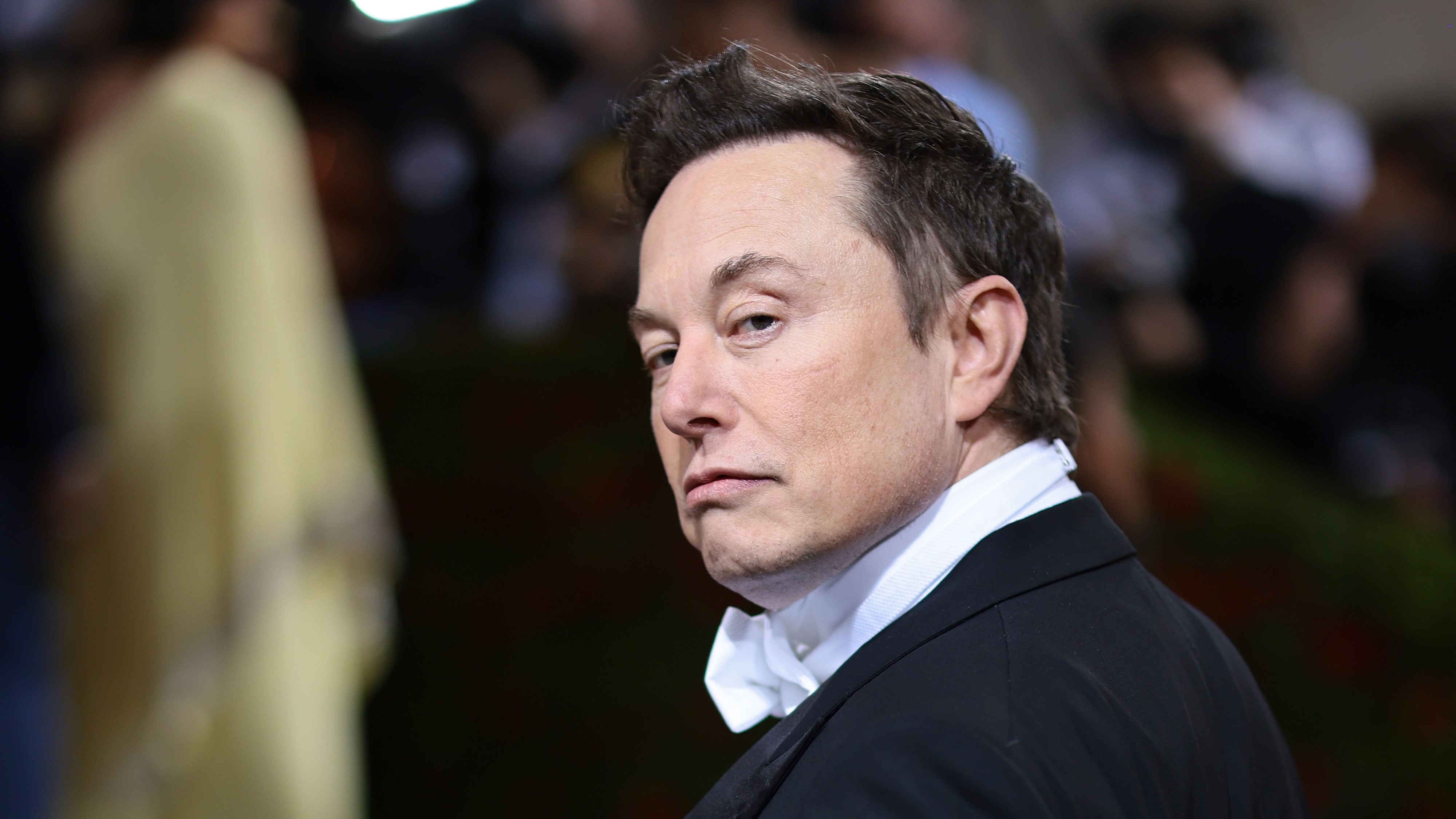 Elon Musk quiere despedir al 75% del personal de Twitter