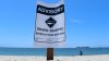 Investigan posible ataque de tiburón en playa de Long Island