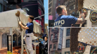 times square bees