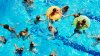 Siete consejos para nadar de manera segura y evitar accidentes en piscinas o playas este verano