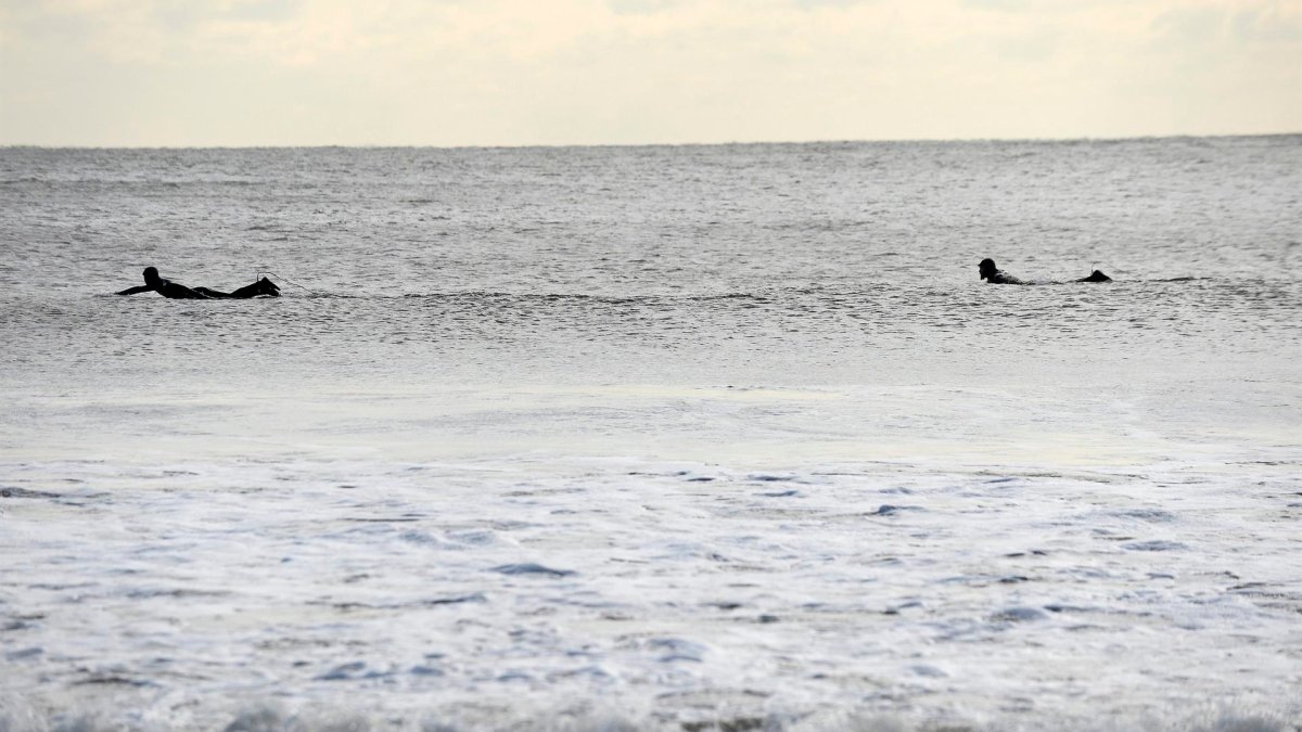 NY Beach Closed After Shark Sighting in Queens – NBC New York