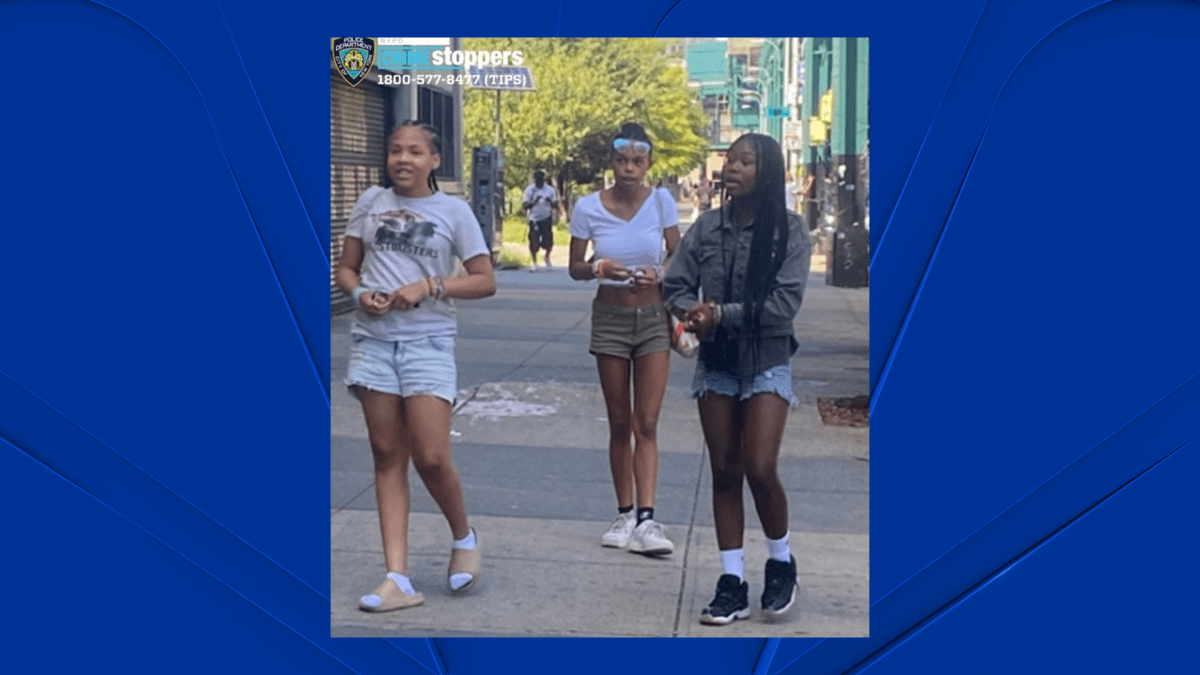 Girls wished for stealing outfits from two gentlemen in New York – NBC New York