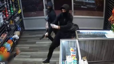 Pistoleros armados irrumpen por la fuerza en tienda de Queens para arrasar con todo